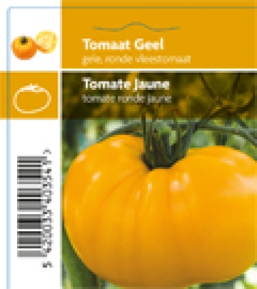 Tomaat Geel (tray 12 pot)